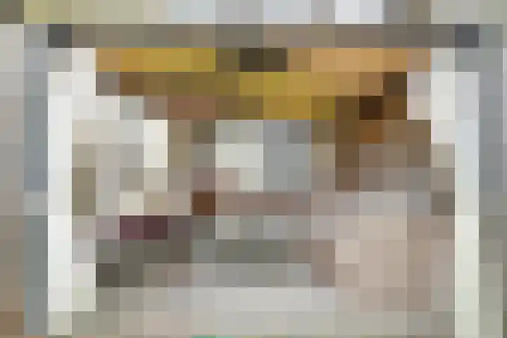 Caan van Necklaan 9 Rijswijk thumbnail 26