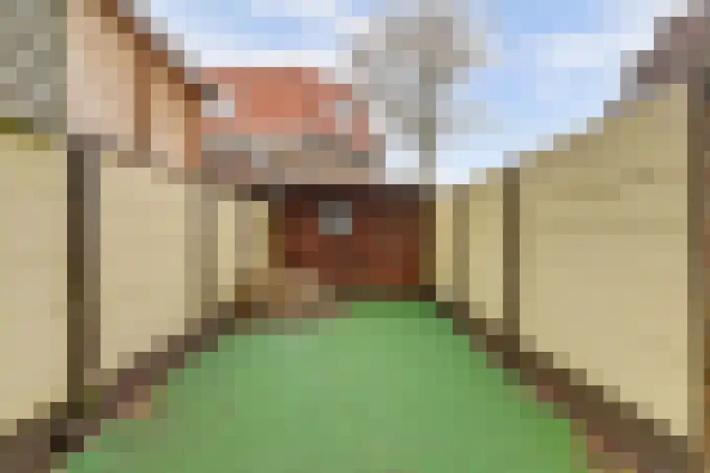 Caan van Necklaan 9 Rijswijk thumbnail 28