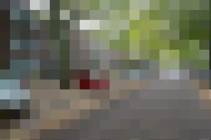 Caan van Necklaan 90 Rijswijk thumbnail 26