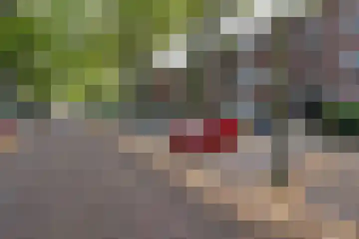 Caan van Necklaan 90 Rijswijk thumbnail 27