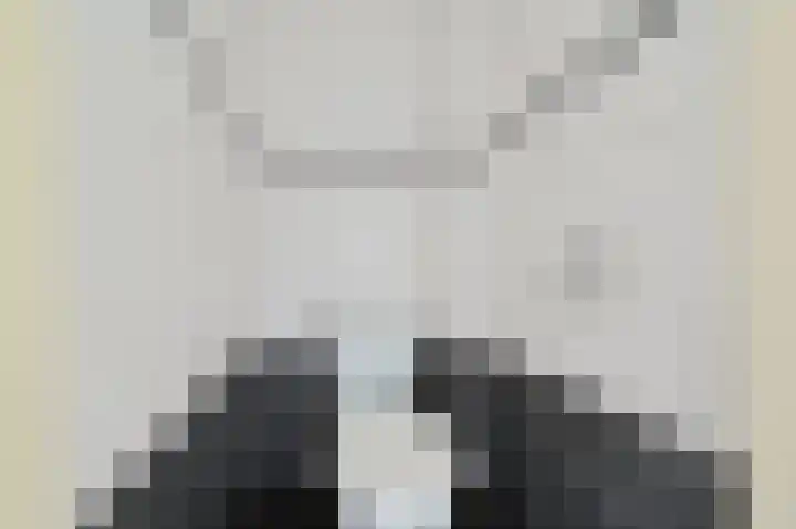 Caan van Necklaan 90 Rijswijk thumbnail 6