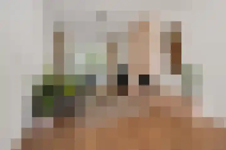 Caan van Necklaan 90 Rijswijk thumbnail 8