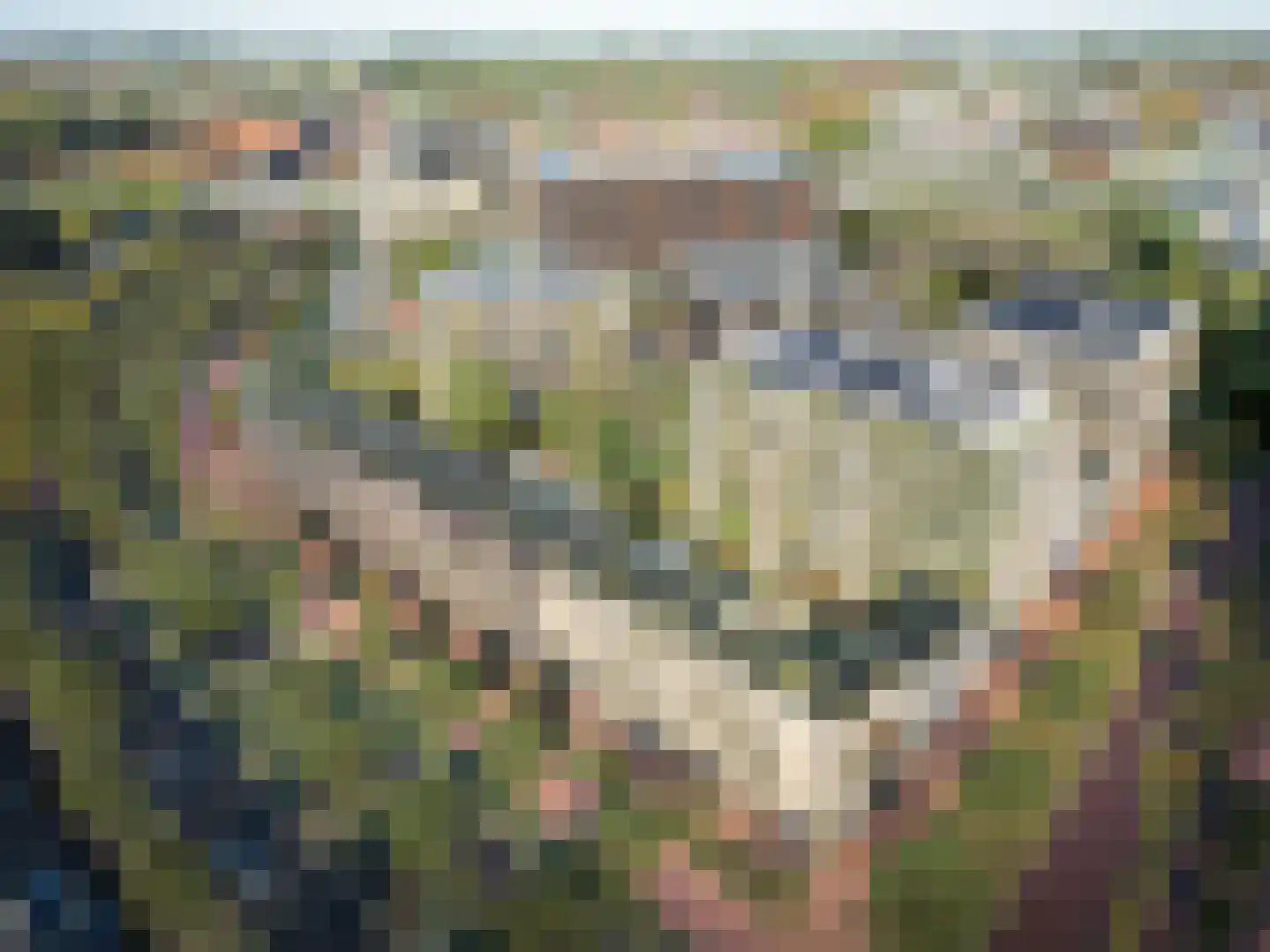 CAB-rondom 241 Utrecht thumbnail 7
