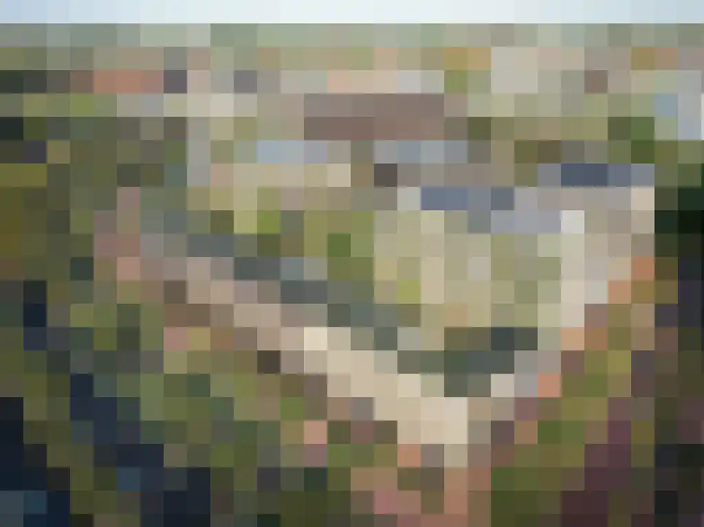 CAB-rondom 297 Utrecht thumbnail 15