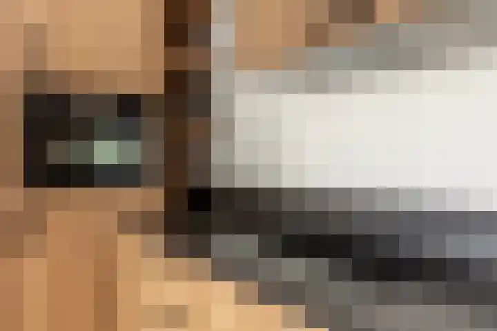 Cabauwsekade 55 A Lopik thumbnail 19