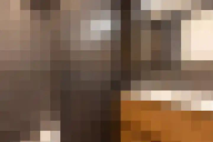 Cabauwsekade 55 A Lopik thumbnail 25
