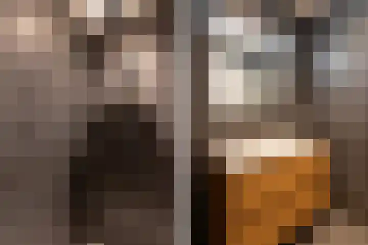 Cabauwsekade 55 A Lopik thumbnail 26