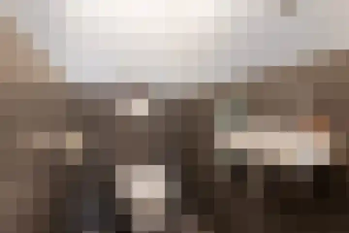 Cabauwsekade 55 A Lopik thumbnail 29