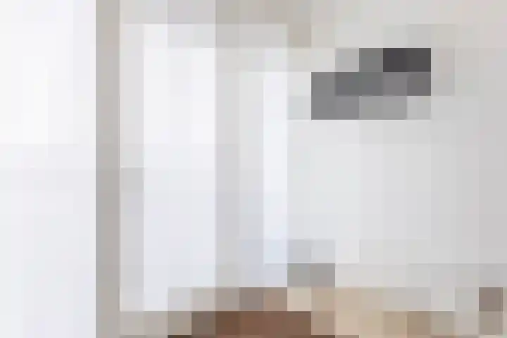 Cabauwsekade 55 A Lopik thumbnail 33