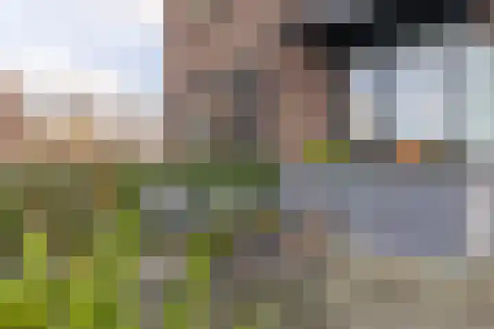 Cabauwsekade 55 A Lopik thumbnail 36
