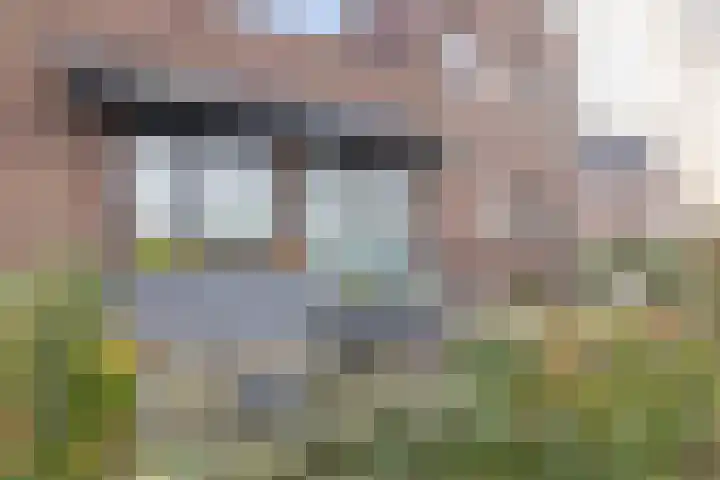 Cabauwsekade 55 A Lopik thumbnail 4