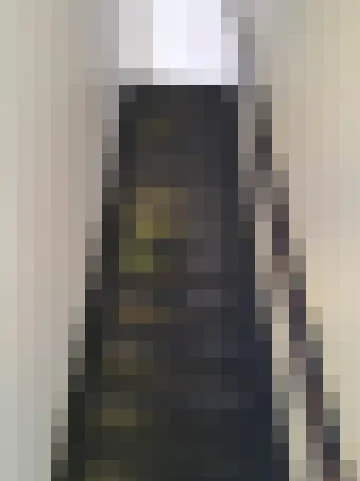 Cabauwsekade 80 I Lopik thumbnail 12