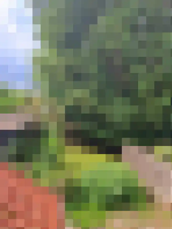 Cabauwsekade 80 I Lopik thumbnail 15