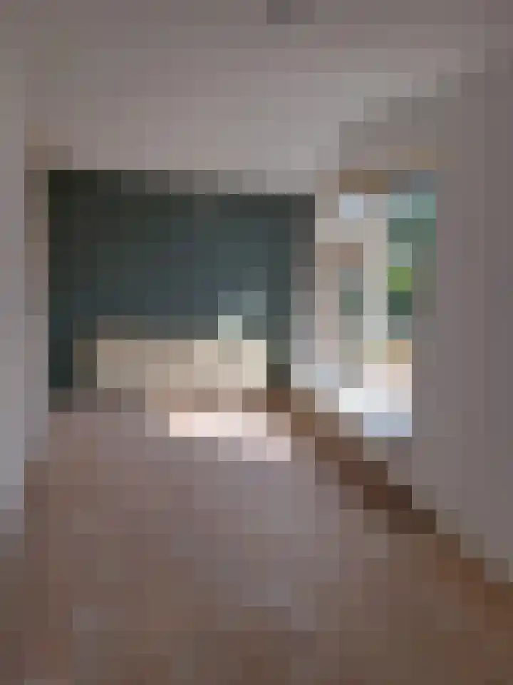 Cabauwsekade 80 I Lopik thumbnail 17