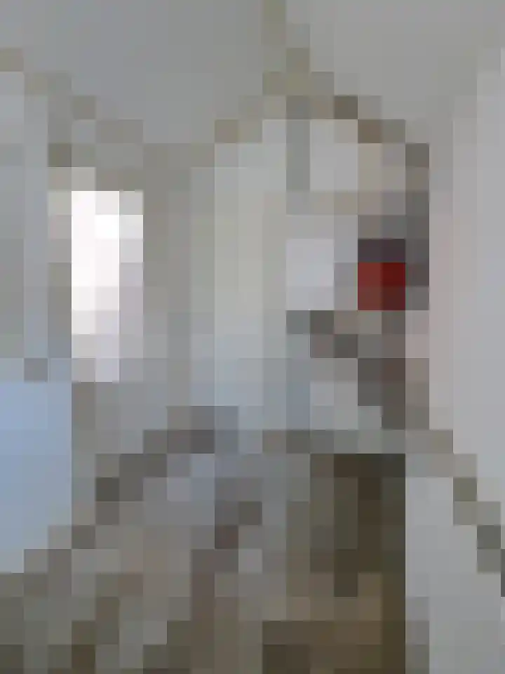 Cabauwsekade 80 I Lopik thumbnail 21