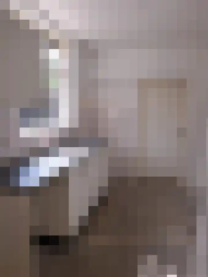 Cabauwsekade 80 I Lopik thumbnail 7