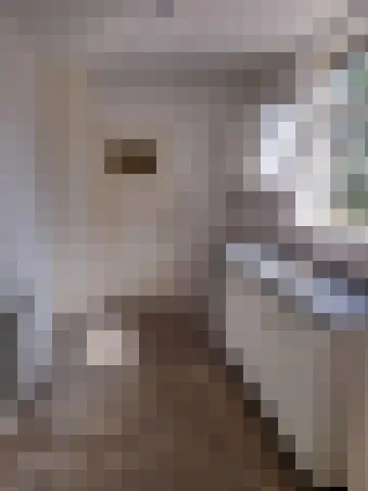 Cabauwsekade 80 I Lopik thumbnail 8