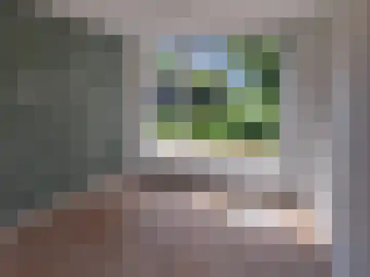 Cabauwsekade 80 I Lopik thumbnail 9