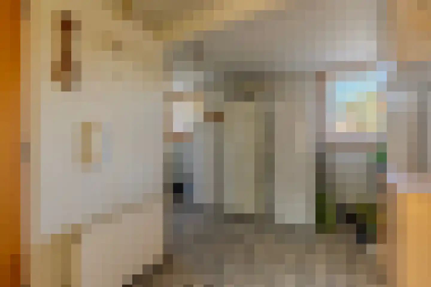 Cabauwsekade 81 Lopik thumbnail 46