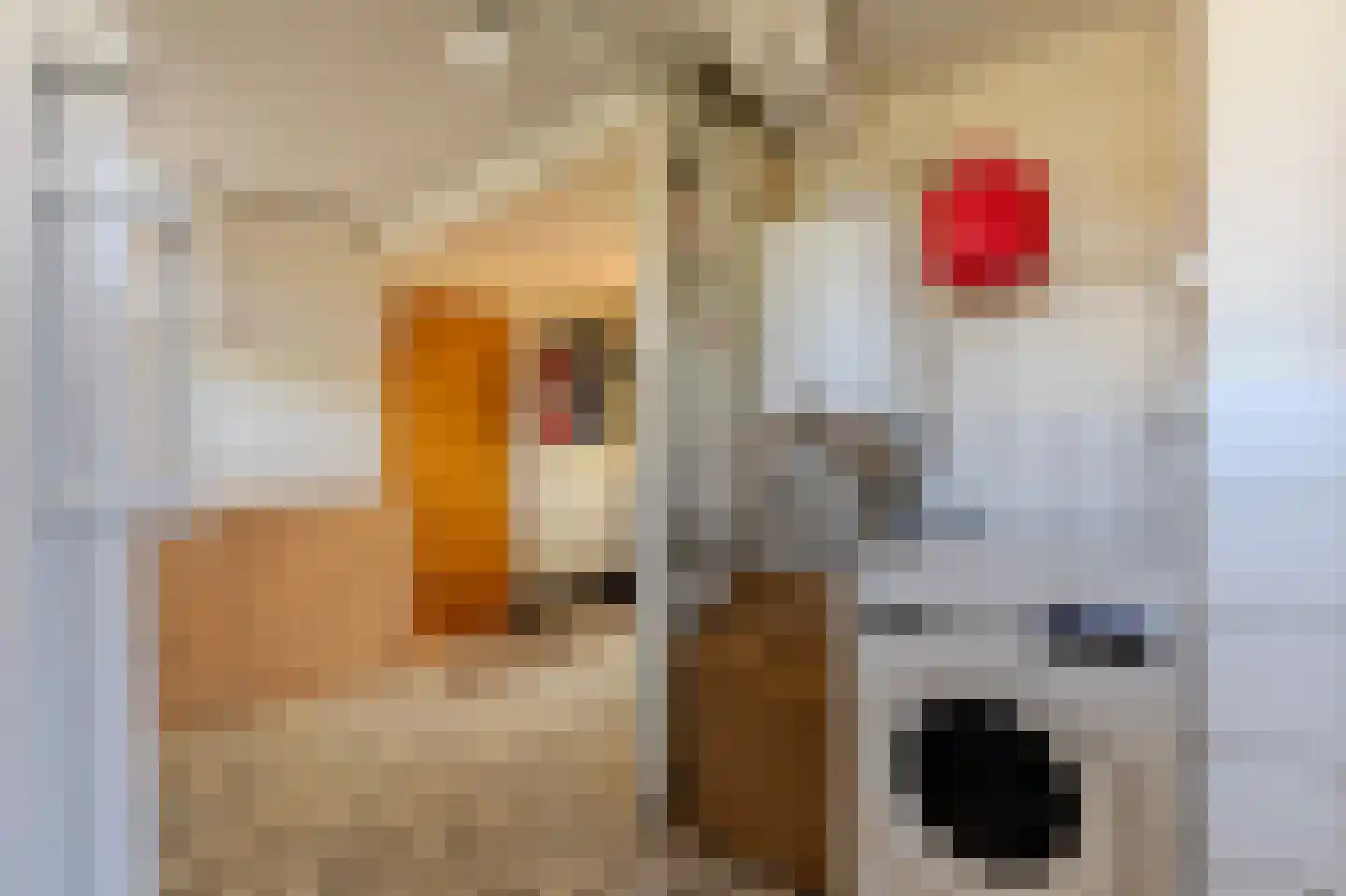 Cabauwsekade 81 Lopik thumbnail 47