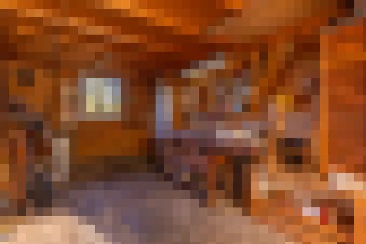 Cabauwsekade 81 Lopik thumbnail 49