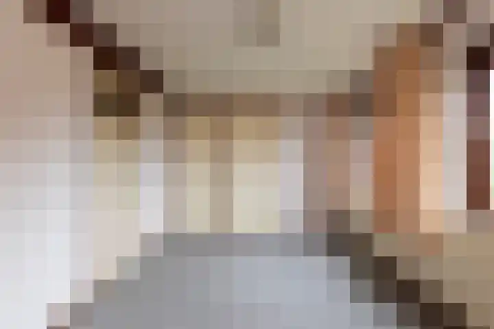 Cabauwsekade 88 A Lopik thumbnail 36