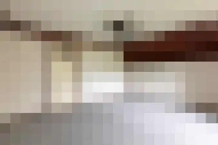 Cabauwsekade 88 A Lopik thumbnail 39