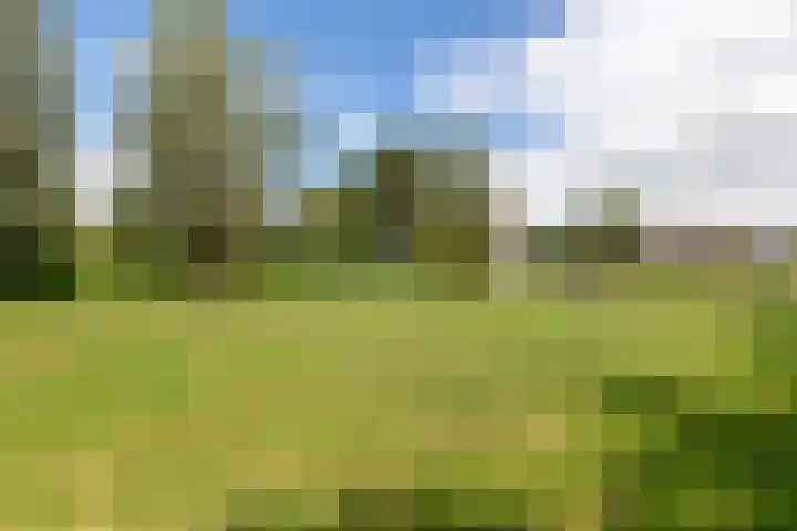 Cabauwsekade 88 A Lopik thumbnail 4