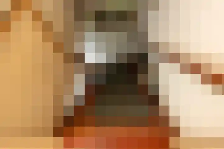 Cabauwsekade 88 A Lopik thumbnail 45