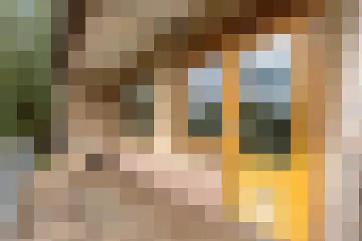 Cabauwsekade 88 A Lopik thumbnail 48