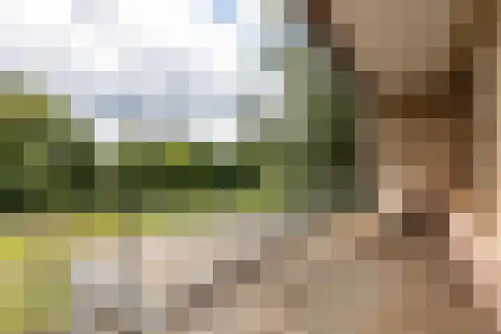 Cabauwsekade 88 A Lopik thumbnail 49