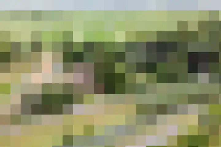Cabauwsekade 88 A Lopik thumbnail 5