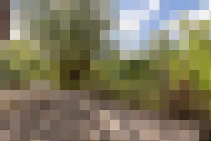 Cabauwsekade 88 A Lopik thumbnail 50