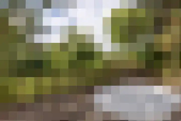 Cabauwsekade 88 A Lopik thumbnail 51