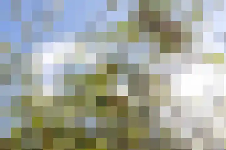 Cabauwsekade 88 A Lopik thumbnail 53