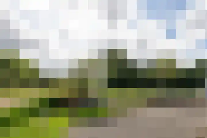 Cabauwsekade 88 A Lopik thumbnail 54