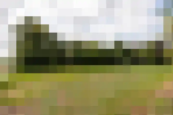 Cabauwsekade 88 A Lopik thumbnail 55