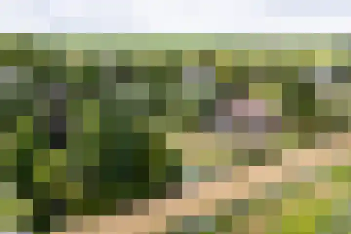 Cabauwsekade 88 A Lopik thumbnail 57