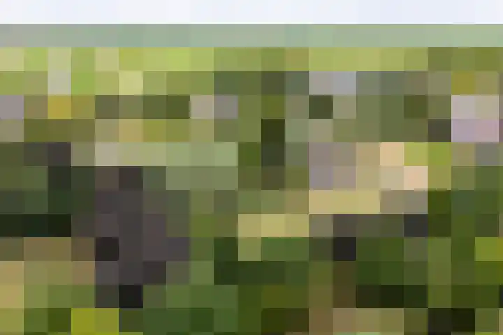 Cabauwsekade 88 A Lopik thumbnail 58