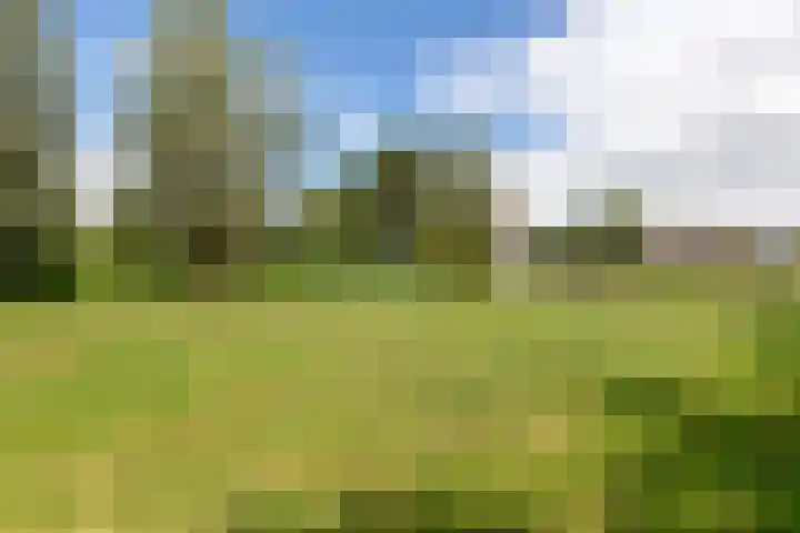 Cabauwsekade 88 A Lopik thumbnail 59