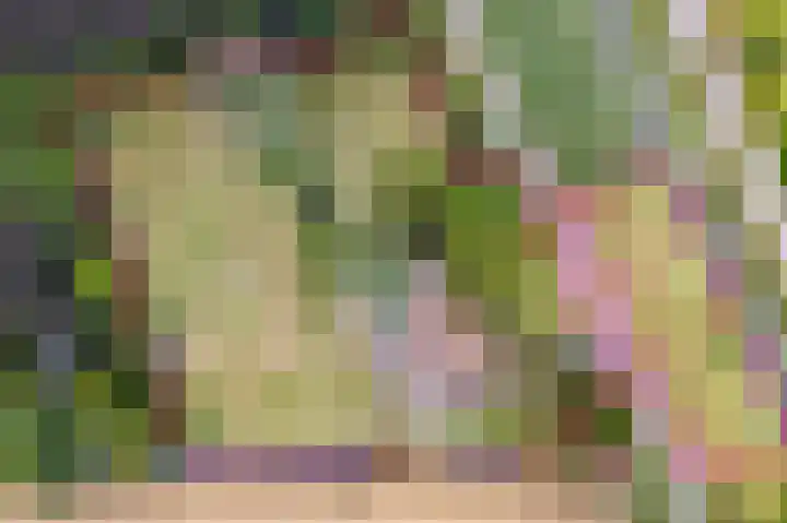 Cabauwsekade 88 A Lopik thumbnail 6