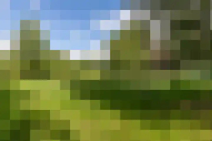 Cabauwsekade 88 A Lopik thumbnail 60