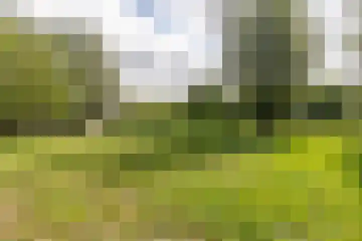 Cabauwsekade 88 A Lopik thumbnail 61