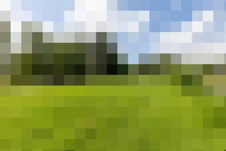 Cabauwsekade 88 A Lopik thumbnail 63