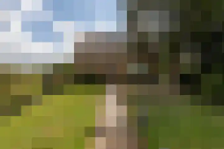 Cabauwsekade 88 A Lopik thumbnail 66