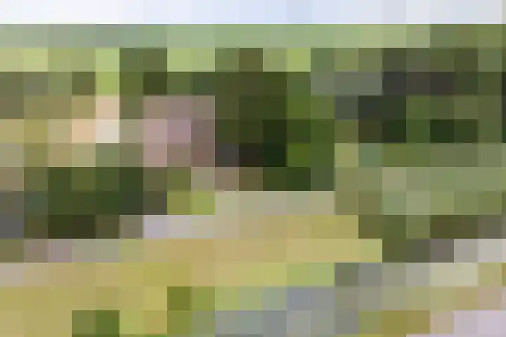 Cabauwsekade 88 A Lopik thumbnail 67