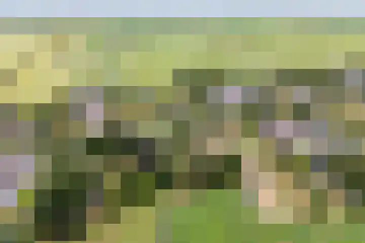 Cabauwsekade 88 A Lopik thumbnail 68