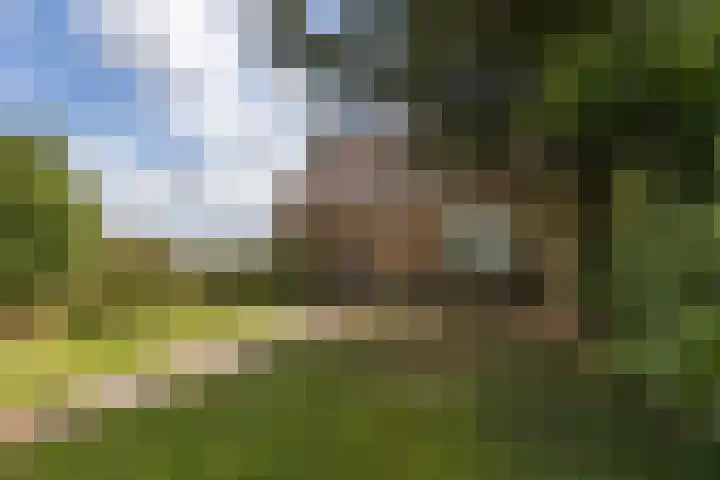 Cabauwsekade 88 A Lopik thumbnail 7