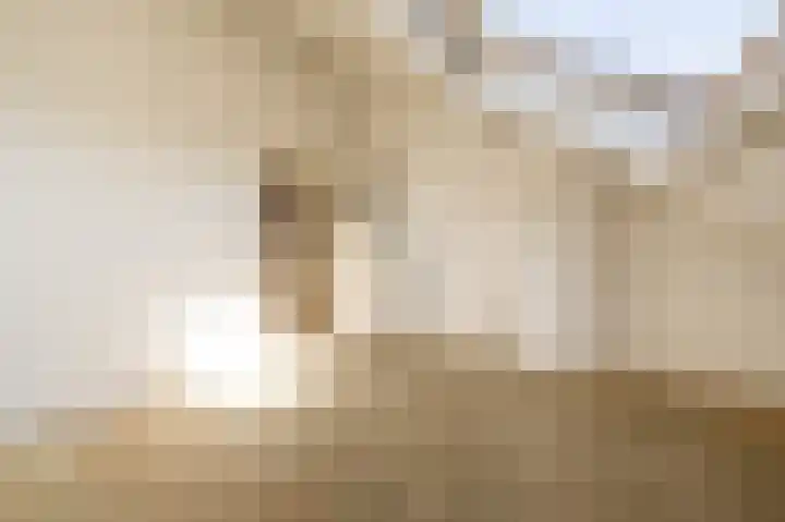 Cabbeweide 4 Westmaas thumbnail 14