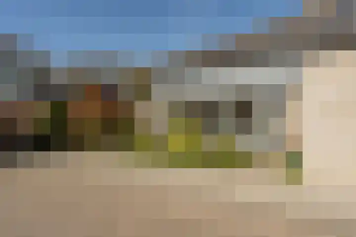 Cabbeweide 4 Westmaas thumbnail 23